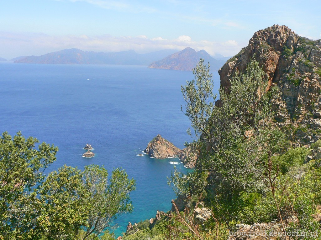 12_korsyka