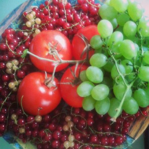 Kosz owoców Fiolka Endorfin