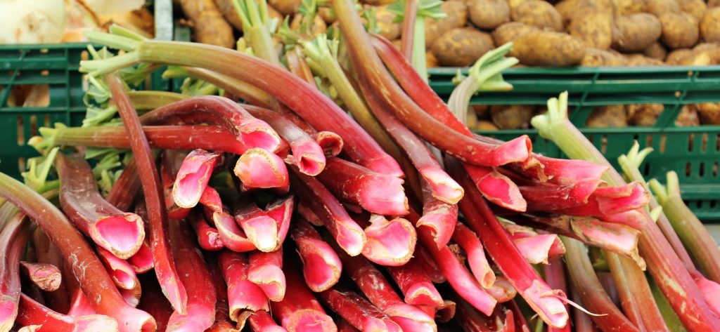 rhubarb-1422546_1920